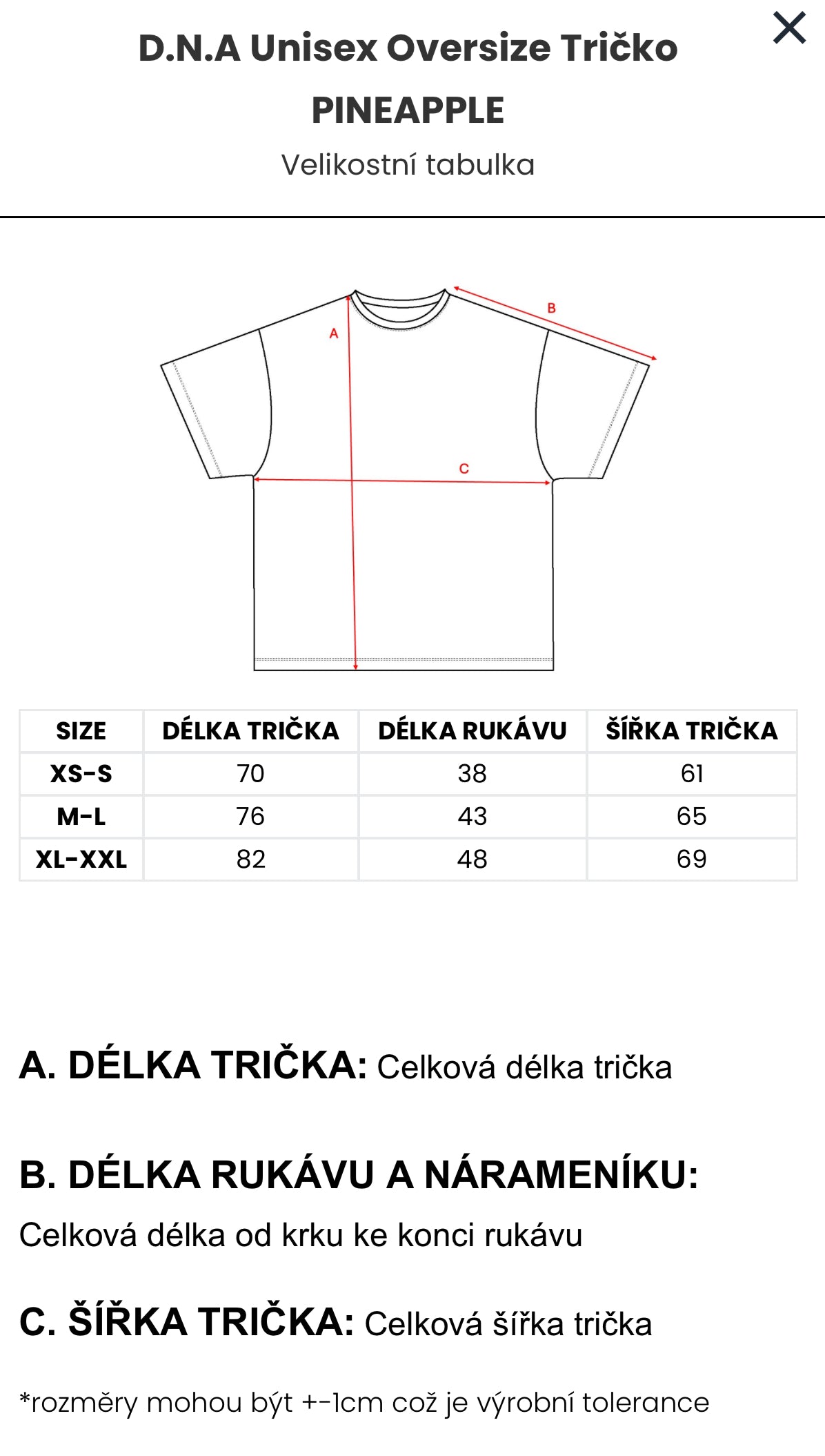 D.N.A Unisex Oversize Tričko PINEAPPLE